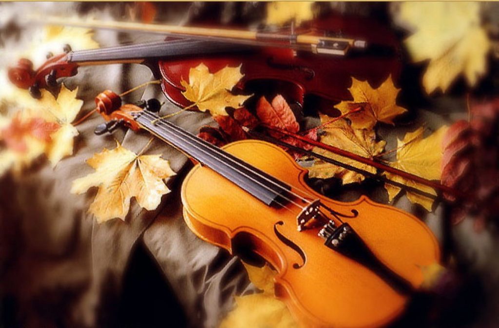 Осенние скрипки. Скрипка осень. Скрипка в осенней листве. Скрипка осенние листья. Музыкальные инструменты осень.