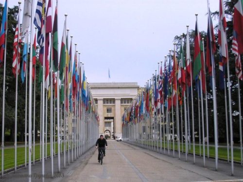 Флаги разных стран в ООН