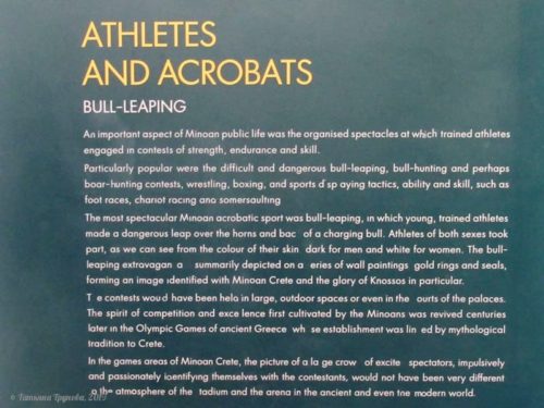 Атлеты и акробаты