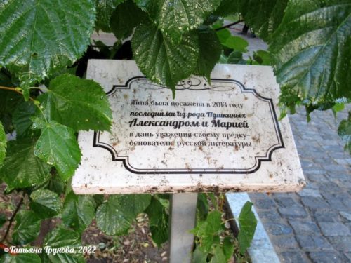 Табличка у памятника Пушкину