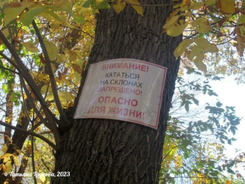 Объявление на дереве