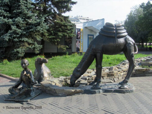 Верблюд