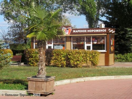 Жареное мороженое Жареное мороженое