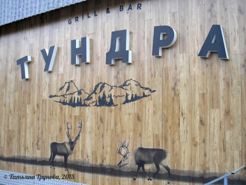 Бар "Тундра" Бар "Тундра"